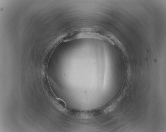 X0000084020305200703022104