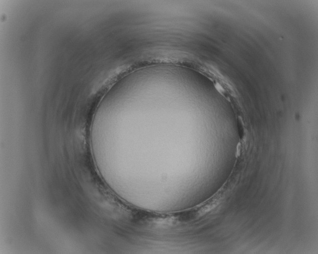 X0000084020306200703022104