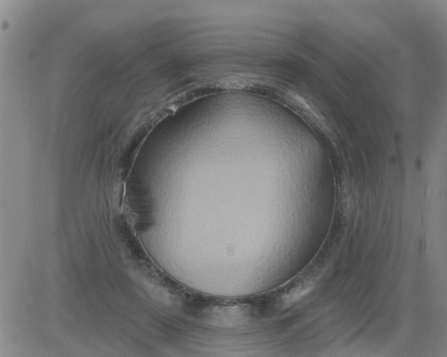 X0000084020307200703022104