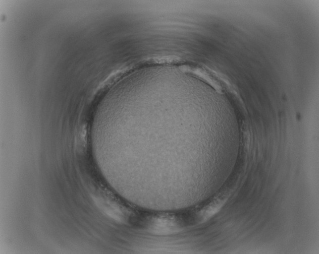 X0000084020308200703022104