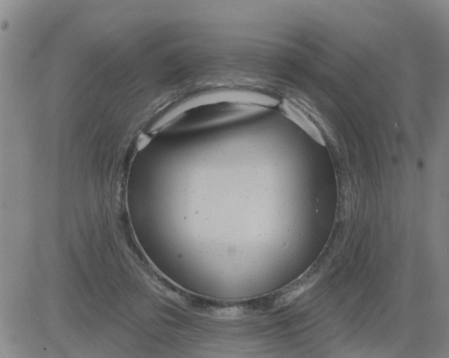 X0000084020309200703022104