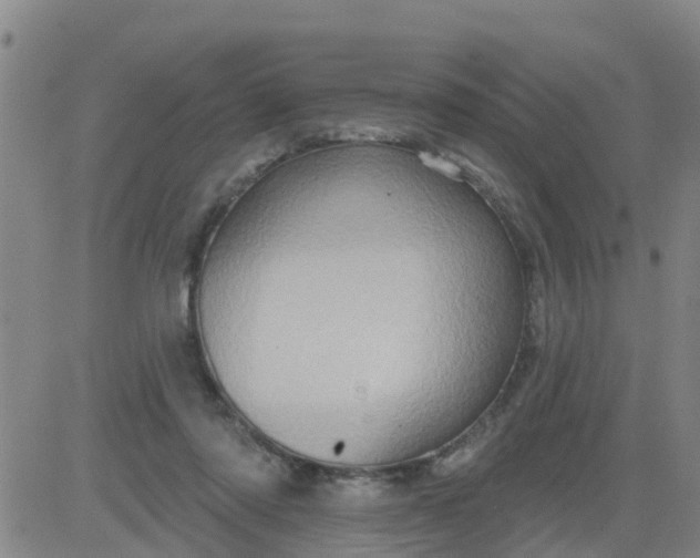 X0000084020310200703022104