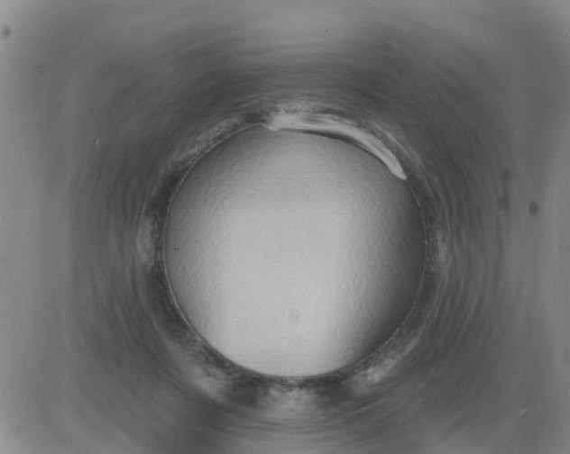 X0000084020311200703022104