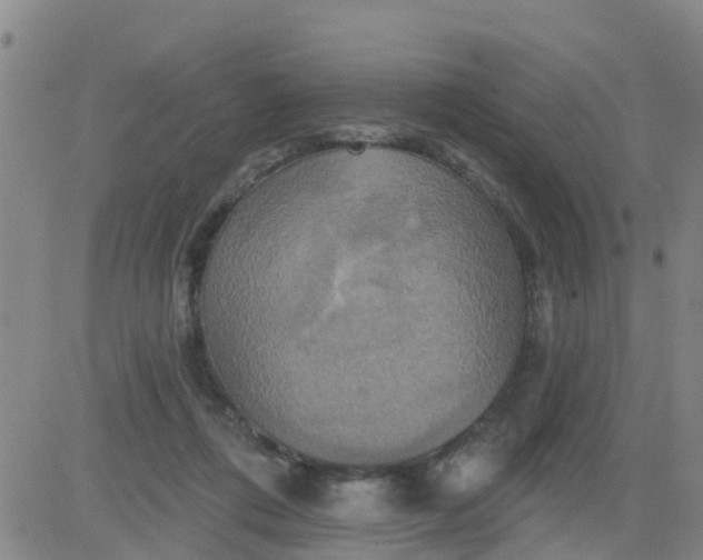 X0000084020312200703022104