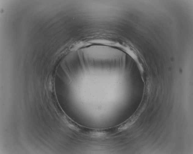 X0000084020313200703022103