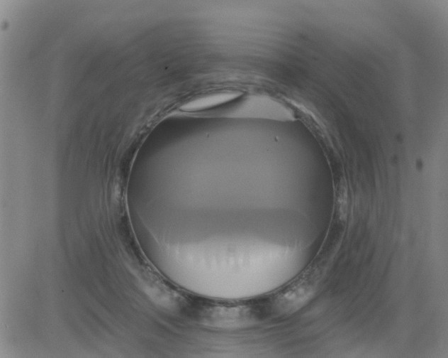 X0000084020314200703022103