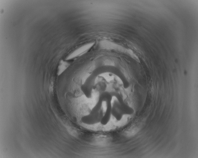 X0000084020315200703022103