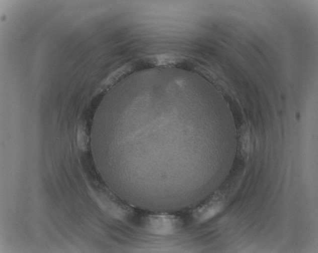 X0000084020316200703022103