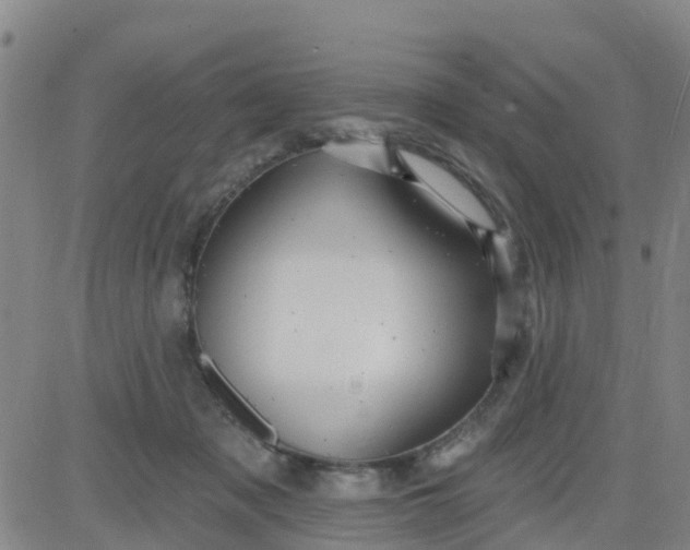 X0000084020317200703022103