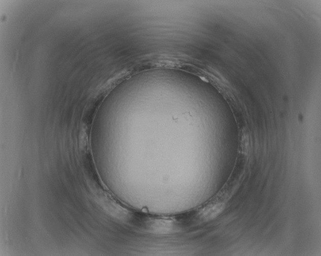 X0000084020318200703022103