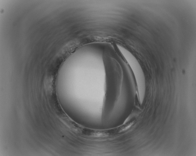 X0000084020319200703022103