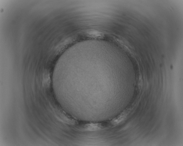 X0000084020320200703022103