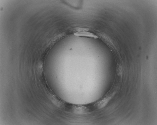 X0000084020321200703022103