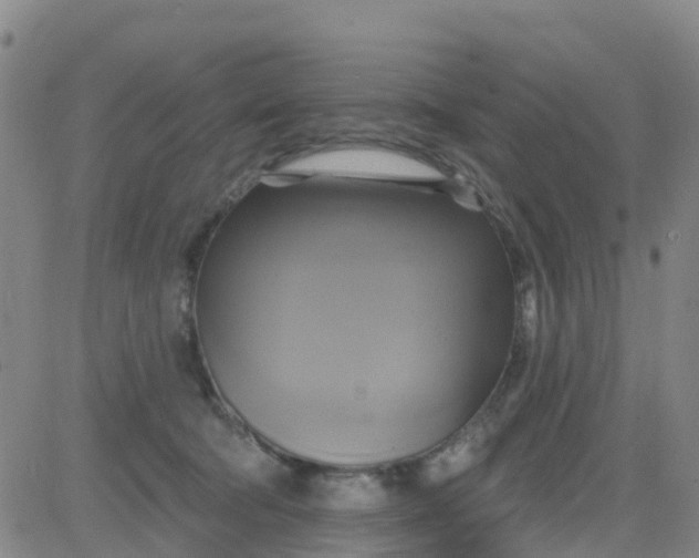 X0000084020322200703022103