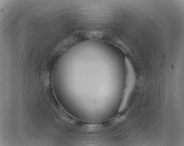 X0000084020323200703022103