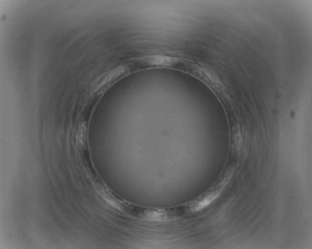 X0000084020325200703022103