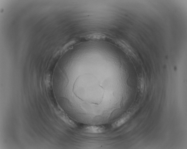 X0000084020326200703022103