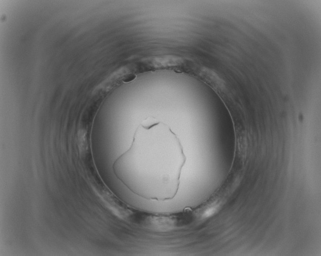 X0000084020327200703022103