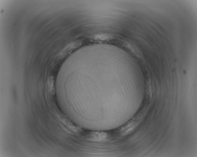 X0000084020328200703022103