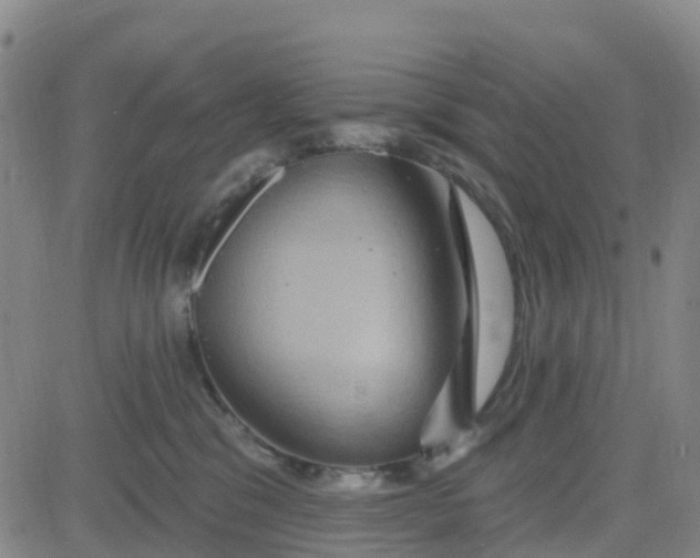 X0000084020329200703022103