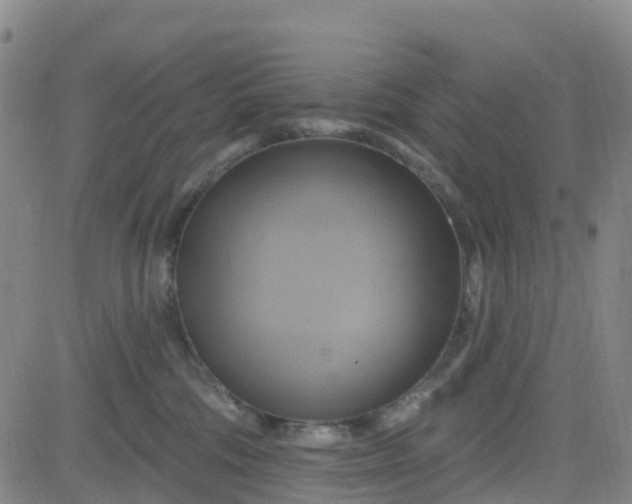 X0000084020330200703022103