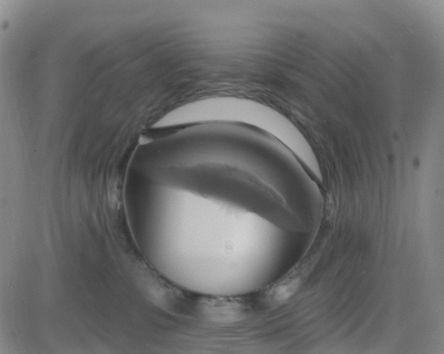 X0000084020331200703022103