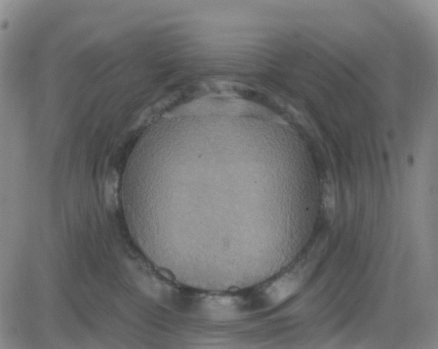 X0000084020332200703022103