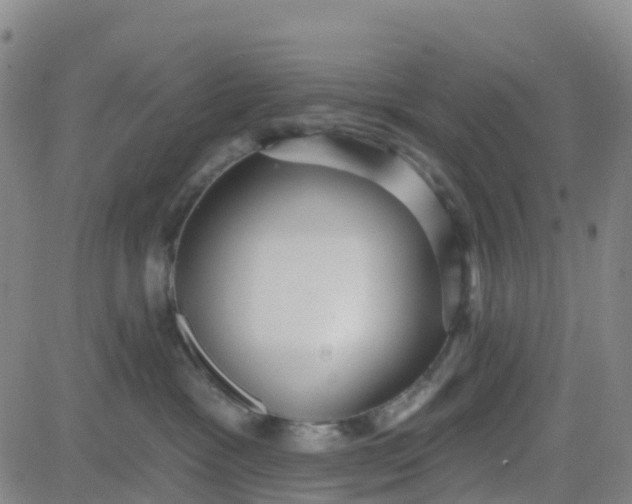 X0000084020333200703022103