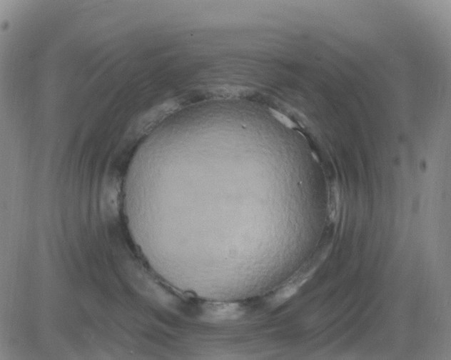 X0000084020334200703022103