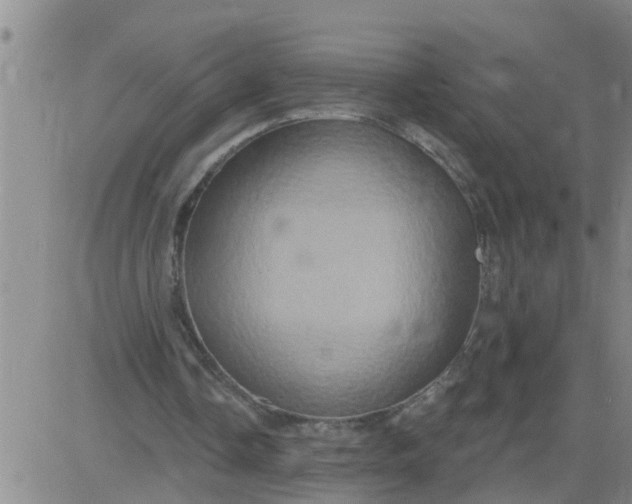 X0000084020338200703022102