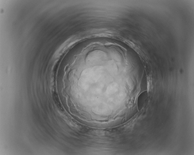 X0000084020339200703022102