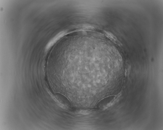 X0000084020341200703022102