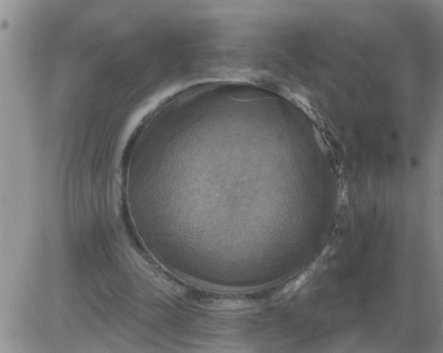 X0000084020342200703022102