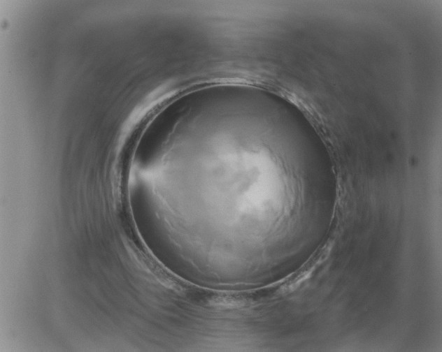 X0000084020343200703022102