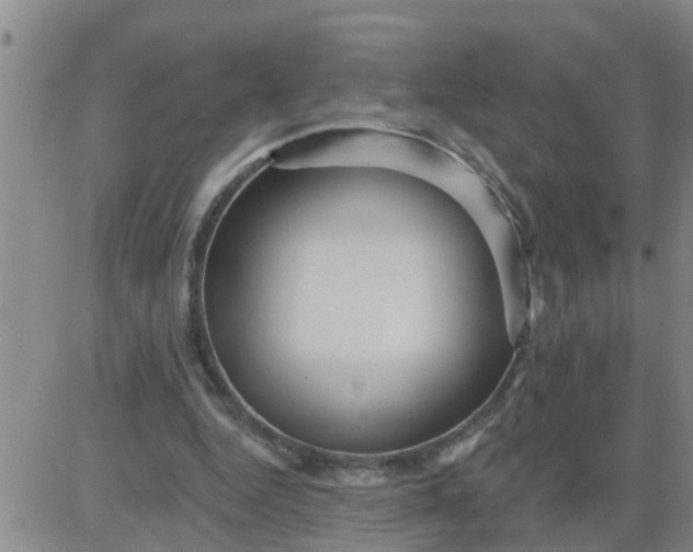 X0000084020344200703022102