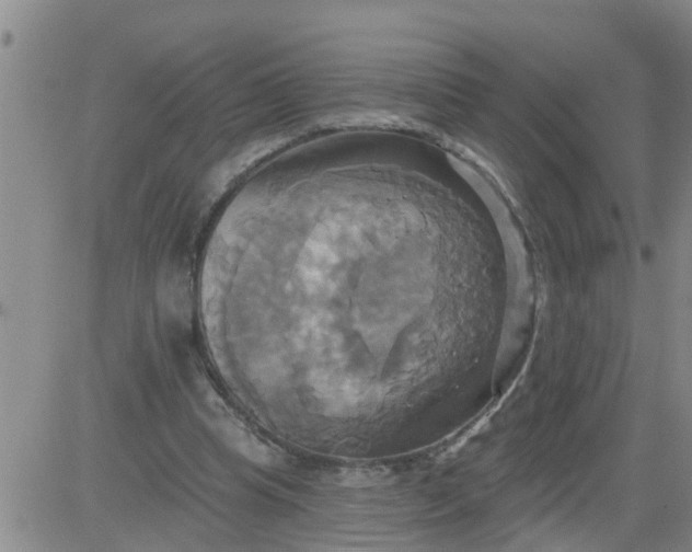 X0000084020345200703022102