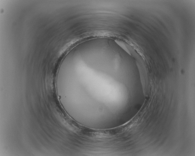 X0000084020347200703022102