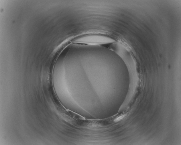 X0000084020348200703022102