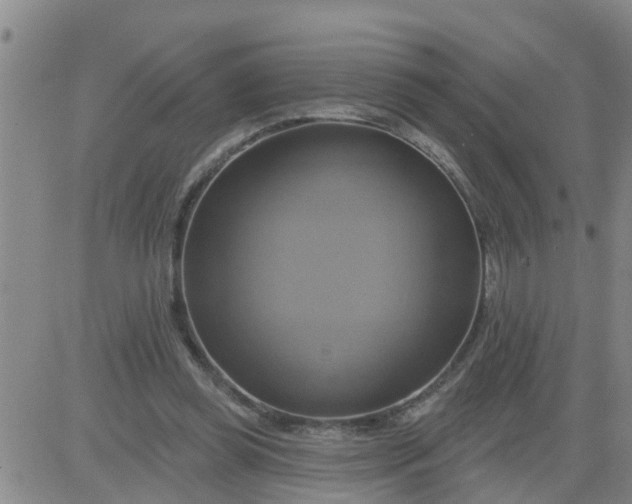 X0000084020349200703022103