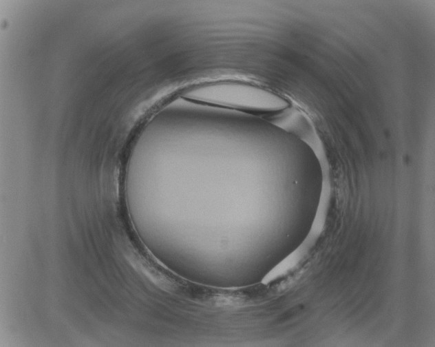 X0000084020350200703022103