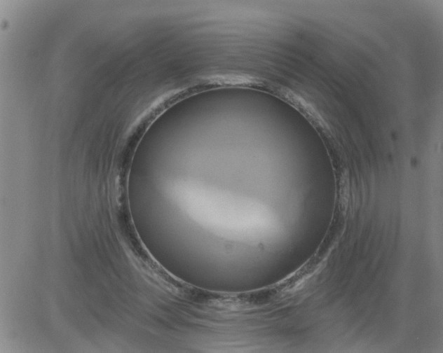 X0000084020351200703022103