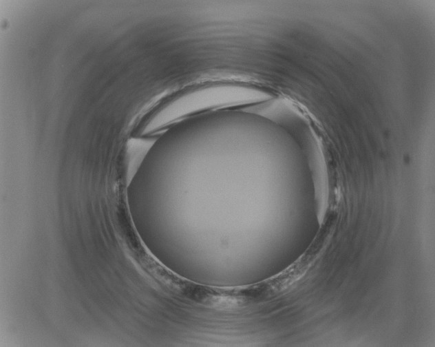 X0000084020352200703022103