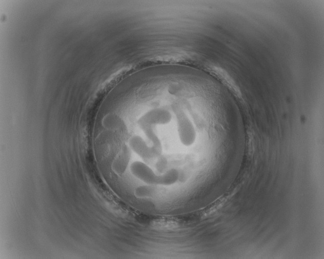 X0000084020354200703022103