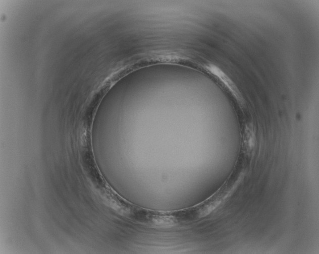 X0000084020355200703022103