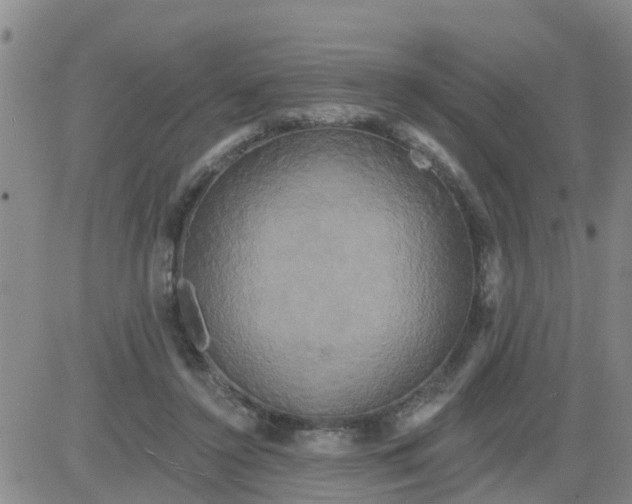 X0000084020356200703022103