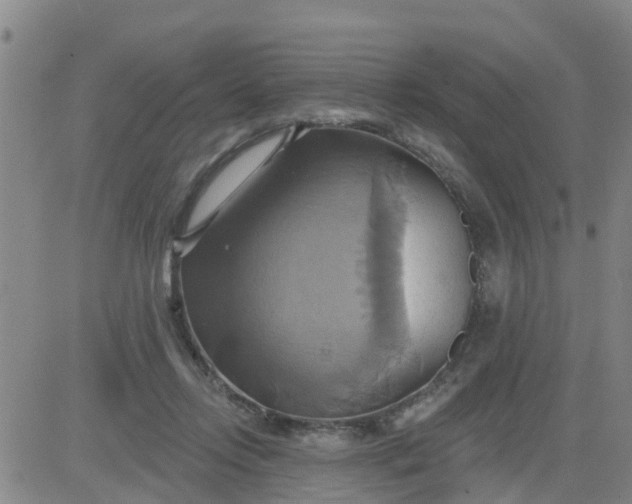 X0000084020358200703022103