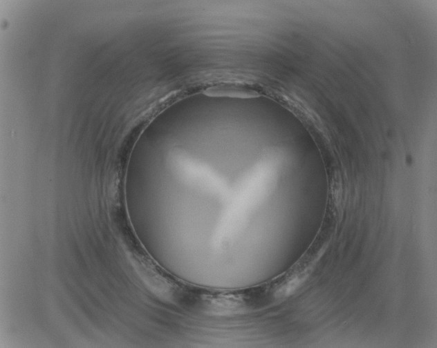 X0000084020359200703022103