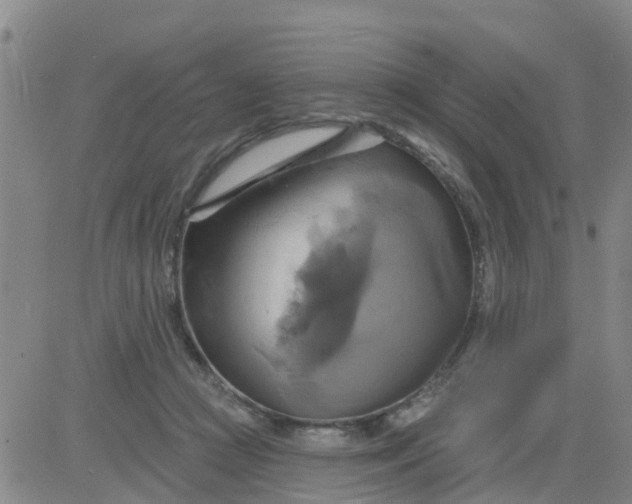 X0000084020361200703022103