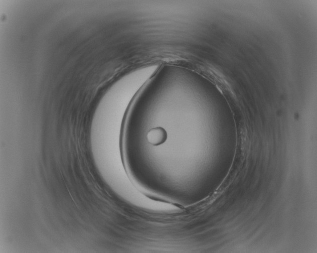 X0000084020362200703022103