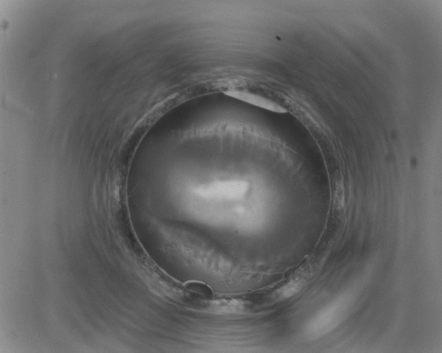 X0000084020363200703022103